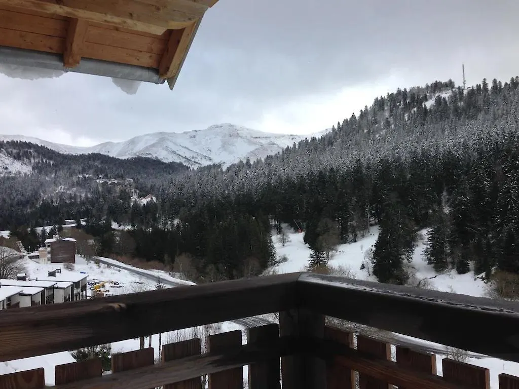 Residence Recente Au Lioran A Proximite Des Remontees Mecaniques Laveissière