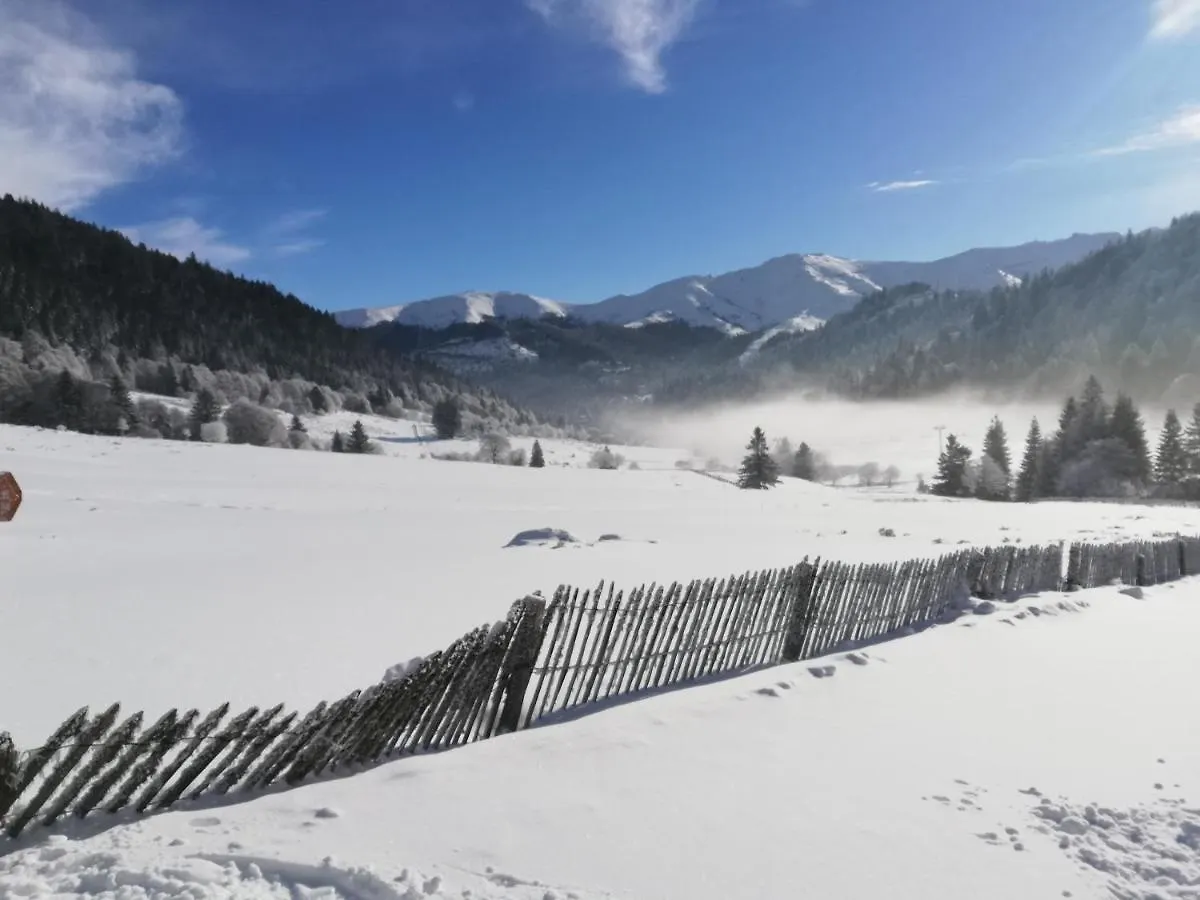 Residence Recente Au Lioran A Proximite Des Remontees Mecaniques Laveissière Lägenhet